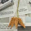 Espigas de Trigo Artificiais Transfronteiriças, Arroz de Espuma, Enfeites Decorativos Pastorais para Casa, Flores Artificiais para Fotografia de Casamento, Acessórios de Plantas