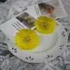 Cabezas de Amapola, Flores Artificiales, Accesorios para el Cabello DIY, Pasadores, Guirnaldas de Flores, Accesorios para Ropa, Flores Artificiales Falsas, Venta al por Mayor Transfronteriza