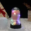 Mini Ramo Transfronterizo de Flores de Jabón, Rosas Eternas Cubiertas de Acrílico, Regalo de Cumpleaños, Adorno Luminoso de Escritorio