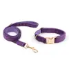 Directo de fábrica, en stock, juego de collar y correa de terciopelo para mascotas transfronterizo para perros y gatos pequeños y medianos, personalizable con logo