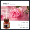 Série de Perfumes para Carro com Capa de Madeira de Alta Qualidade para Interior de Carro, Difusor de Longa Duração com Fragrância de Óleo Essencial, Aromaterapia para Carro, Aroma Clássico
