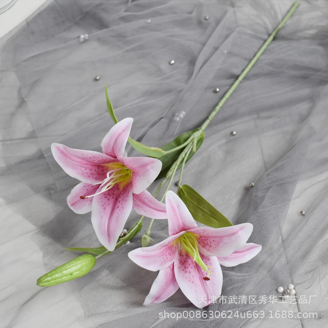 百合紫色