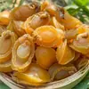 Abulón Seco de Dalian, Abulón de 200 Cabezas para Cocinar Gachas, Delicadezas Marinas Nutritivas