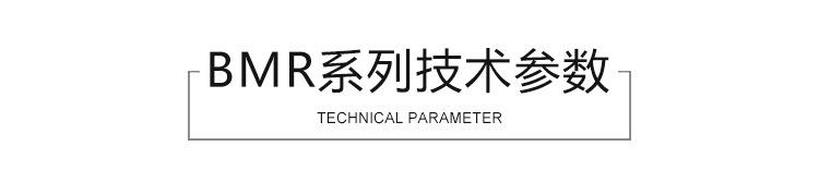 BMR系列技术参数
