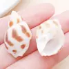 10g Pingente de Concha Natural Perfurada Oceânica DIY Criativo Feito à Mão Corrente de Cintura Colar Chaveiro Acessórios de Joias Materiais