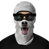 Bandera Americana Animal Protector Solar Cubrecabezas Exterior Máscara para Montar en Motocicleta Bufanda para el Cuello de Hombre Mascarilla Facial Protección UV para Mujer