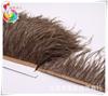 Suministros del Fabricante Recorte de Plumas de Avestruz, Recorte para Ropa de Plumas Importado de Sudáfrica, A partir de 00710m Piezas, Recorte Ancho de Encaje