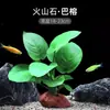 Plantas de Acuario, Decoraciones de Paisajismo con Césped Real, Plantas Aptas para Principiantes, Crisantemo Verde Ciempiés, Plantas de Sombra, Piedra Volcánica, Plantas Verdes Purificadoras de Agua