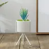 Cachepôs de Cerâmica Branca Simples em Estilo Europeu Personalizados com Plantas Verdes Simuladas e Suculentas, Criativos Vasos de Mesa Internos de Arte em Ferro