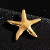 Broche de alfinete super popular de concha, estrela, tartaruga à beira-mar, minimalista e estiloso, acessório versátil para terno