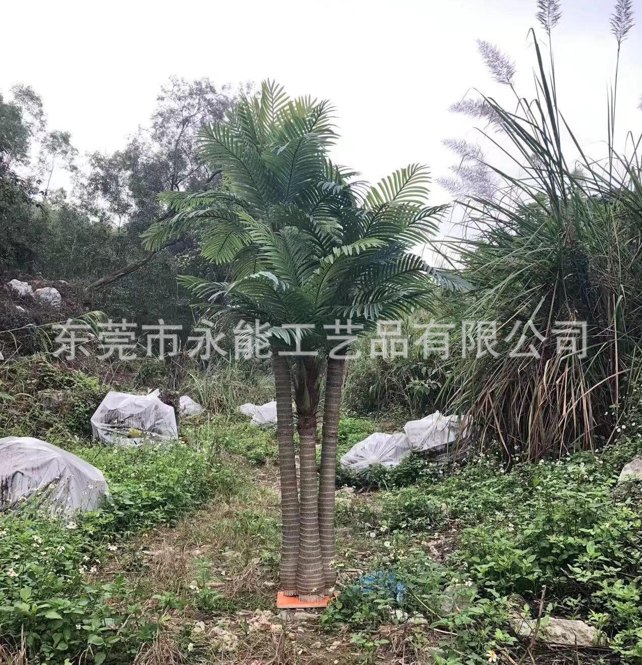 82e87057684025a9e9306e96b26799