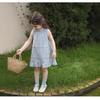 Falda de Encaje Dulce para Niñas, Vestido de Estilo Francés para Niños, Falda de Diseño para Bebé, Vestido Chaleco de Princesa