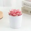 Mango de Invierno Oficina Decoración de Escritorio Interior Planta en Maceta Maceta de Cerámica Cubo Pequeño Mini Planta Suculenta Más Vendido en Amazon