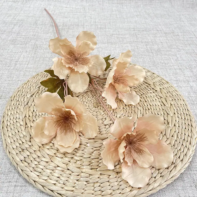 4头大芙蓉花-浅咖.JPG