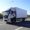 Vehículo de Transporte Refrigerado para Furgoneta VI Nacional Vehículo de Distribución de Cadena de Frío para Vacunas y Medicamentos Unidad de Refrigeración Congelador Pequeño