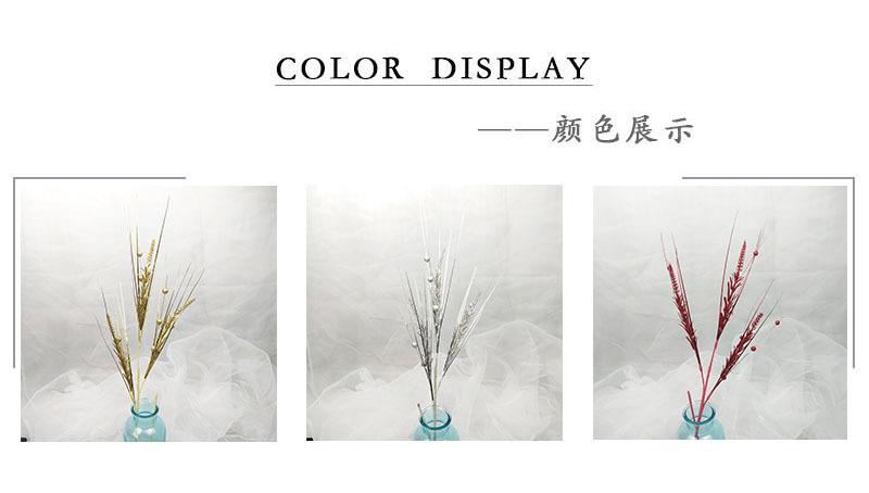 颜色展示