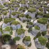 Instalações de Esculturas Personalizadas em Pedra Artificial, Decorações de Arte Moderna para Escritórios de Vendas e Salas de Exposição, Esculturas Personalizadas Vazadas em Pedra Artificial