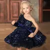 Vestido infantil de hilo abullonado, vestido de princesa, vestido de fiesta de cumpleaños para niñas con lentejuelas, disfraz para pasarela de piano, vestido de manga larga
