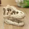Ornamentos para Aquário, Plantas Aquáticas, Crânio de Resina de Dinossauro Mb9-16, Liquidação para 5 ou Mais Paisagismo/Decoração