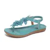 Sapatos Femininos Plus Size 2026 Verão Novo Sandálias Rasteirinhas Bohemian com Contas de Coruja Chinelos Sandálias de Praia para Mulheres