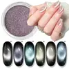 Venta Caliente Transfronteriza Arte para Uñas Polvo Espejo Ojo de Gato Polvo Multicolor Chapado en Oro Arte para Uñas Borde de Uña Espejo Accesorios para Uñas Aurora