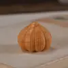 Estilo Nuevo con una Ventaja Ganadora, Caracol de Ajo Animal Lindo Alivio del Estrés Manualidad Creativa Tuya