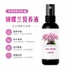 Solución nutritiva especial para Phalaenopsis flecha explosiva para promover la floración raíz podrida hoja amarilla prevención de enfermedades fertilizante dilución libre fertilizante foliar mayoreo