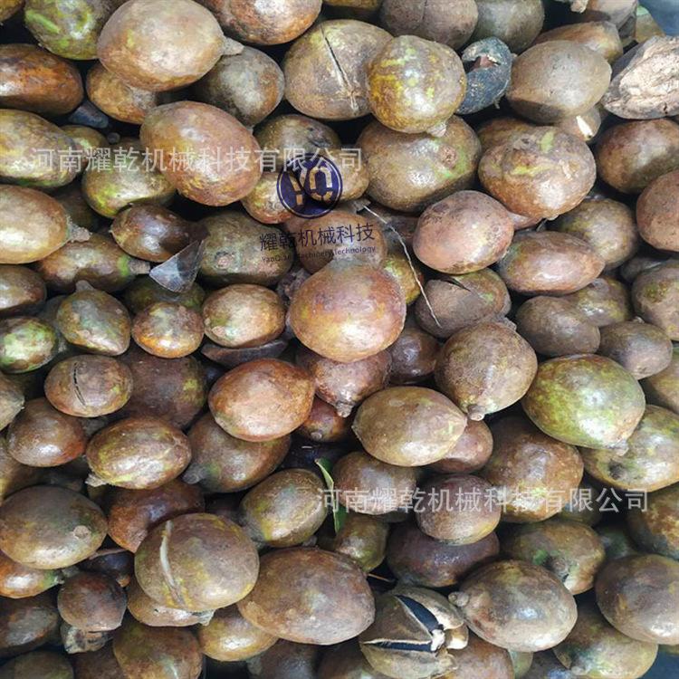 52722ed9d0f63eb0709c7bdd9a0e1e