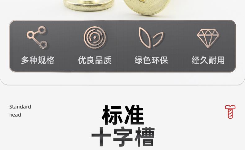 金色304不锈钢CA十字薄头自攻螺丝_03_04.jpg