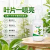 Este fertilizante concentrado, soluble en agua, está diseñado específicamente para plantas. Se puede pulverizar sobre las hojas para realzar rápidamente su color, haciéndolas de un verde vibrante, más gruesas y previniendo el amarilleamiento.
