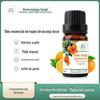 Fábrica de Massagem Hospital Doce Laranja Óleo Essencial Único para Cuidados com a Pele e Beleza Óleo Essencial Cítrico Importado para Aromaterapia do Sono Interior
