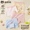 Roupa íntima boxer infantil Mianqi Ursinho Outono Algodão Classe A Shorts para Menina Sem Acolchoamento no Bumbum Tesouro Feminino