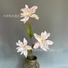 Arranjos de Cena com Flores, Flores de Ano Novo, Decoração Suave para Sala de Estar, Buquês de Flores, Decoração de Lobby de Hotel, Venda por Atacado de Materiais Florais, Soluções de Paisagismo para Hotéis
