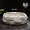 Vaso de Flor de Rocha Vulcânica de Hainan Grama Moeda Grama Moeda Vaso de Flor Hidropônico Pedra de Imitação Bonsai Suporte de Flor de Cerâmica Criativo Sem Furos
