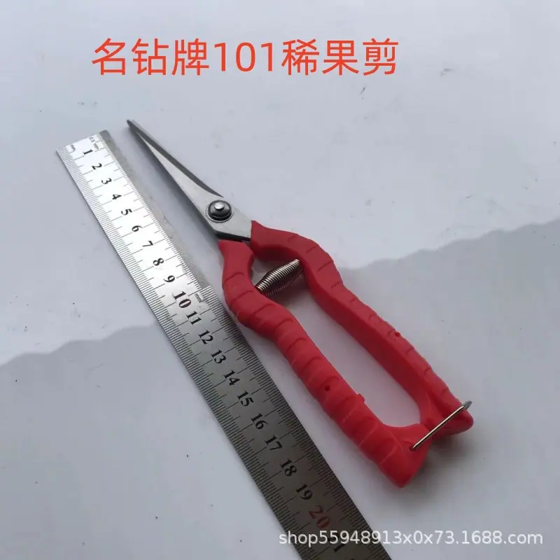 101稀果剪.jpg