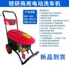 Lavadora automática de alta presión Ruiyan 1809 pistola de agua a alta presión comercial cepillo bomba para coche lavadora de coches 220V empuje manual 3013