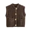 Novidades Outono e Inverno 2024 Moda de Rua Suéter Colete Gola Redonda Colete Tricotado com Ponto Grosso Colete Cardigan Tricotado Sem Mangas