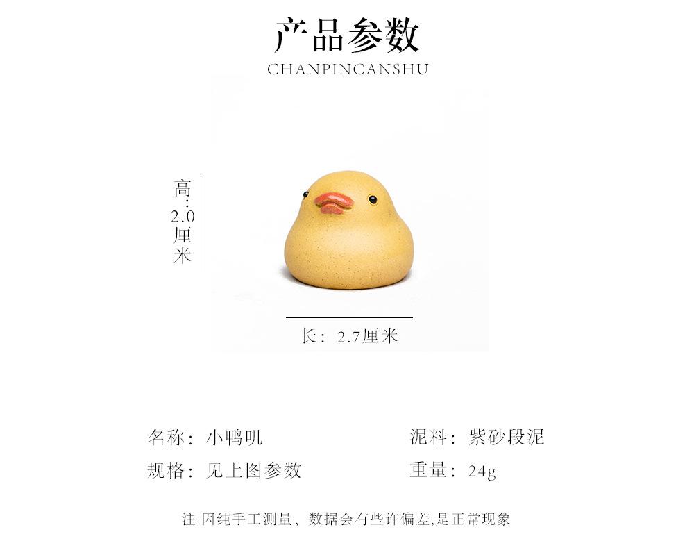 小鸭子 20220626 (5).jpg