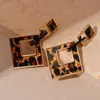 Pendientes de Cadena Geométricos de Leopardo Exagerados Europeos y Americanos de Aguja de Plata Pendientes de Tendencia de Moda Pendientes Elegantes Retro Maillard para Mujeres