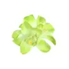 Nuevo producto: 3 Pinzas para el Cabello de Orquídea, Accesorios para el Cabello de Flores Artificiales Estilo Bohemio, Pinzas para el Cabello Estilo Hawaiano para Vacaciones en la Costa para Mujeres