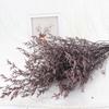 Flor eterna para amantes de la hierba, flores secas frescas para el día de San Valentín, flores eternas secas, material para flores, accesorios para fotografía de flores a juego