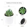 Más de 100 Tipos de Combinaciones de Plantas Suculentas Mini de Plástico Simuladas en Maceta, Mini Bonsáis Suculentos Más Vendidos Transfronterizos, Decoración para el Hogar, Adornos Creativos