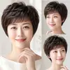 Gorro de Peluca de Cabello Humano Completo para Mujer, Cabello Rizado Corto Natural Esponjoso, Estilo Madre de Mediana Edad y Mayor, Adelgazante de Rostro, Reductor de Edad, Gorro de Peluca Completo