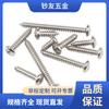 Acero Inoxidable 304 Clavo Autorroscante de Cabeza Avellanada con Punta Gb845 Pa2.3*6 Tornillo Autorroscante de Cabeza Redonda Phillips Pa3*10