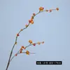 Flores Artificiales con Enredadera de Serpiente del Sur, Fruta de la Fortuna de Nuevo Estilo Chino, Arreglo Floral Falso para Sala de Estar, Flores Secas, Arte Floral Decorativo Artificial Inspirado en Wabi-Sabi Zen