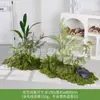 [Série Huair de Três Caracteres] Musgo Artificial Simulado Bonsai Planta Verde Decoração Arranjo Exibição de Janela Bonsai