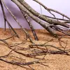 Árbol para paisajismo de acuario sudamericano, ramas secas, ramas de peral amarillo, decoración de sustrato, pecera pequeña, ramas naturales, decoración de paisajismo y paisajismo.