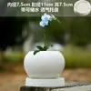 Vaso de Cerâmica para Flores com Prato, Estilo Ins de Luxo Leve, Diâmetro Grande, Estilo Creme, para Orquídeas e Suculentas, Liquidação