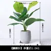 Lujo Ligero Estilo Escandinavo Planta Potos Simulada Bonsái Flores Artificiales Adornos Hoja de Tortuga Maceta Mesa Decoraciones de Flores Falsas