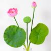 Simulación de una sola flor de loto para decoración del hogar, fotografía de paisajismo, arreglo floral, flor de loto hecha a mano, hoja de loto china, flor falsa al por mayor